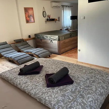 Wellness Soba Skriti Raj בית הארחה *