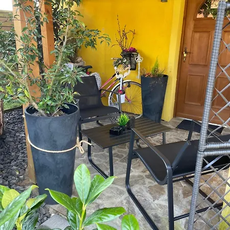 Wellness Soba Skriti Raj *