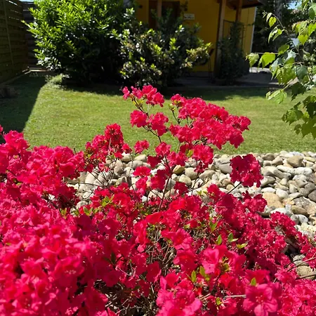 Wellness Soba Skriti Raj بيت ضيافة بانوفيتشي