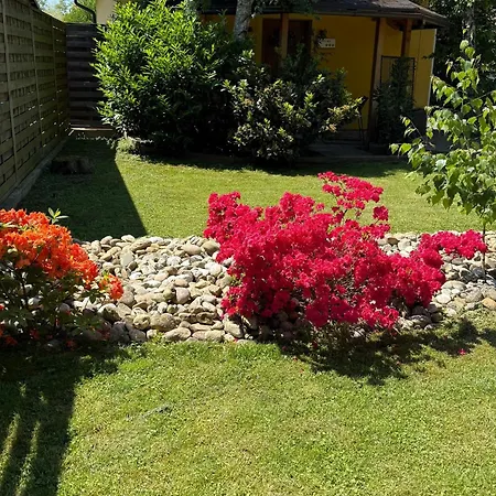 بيت ضيافة Wellness Soba Skriti Raj