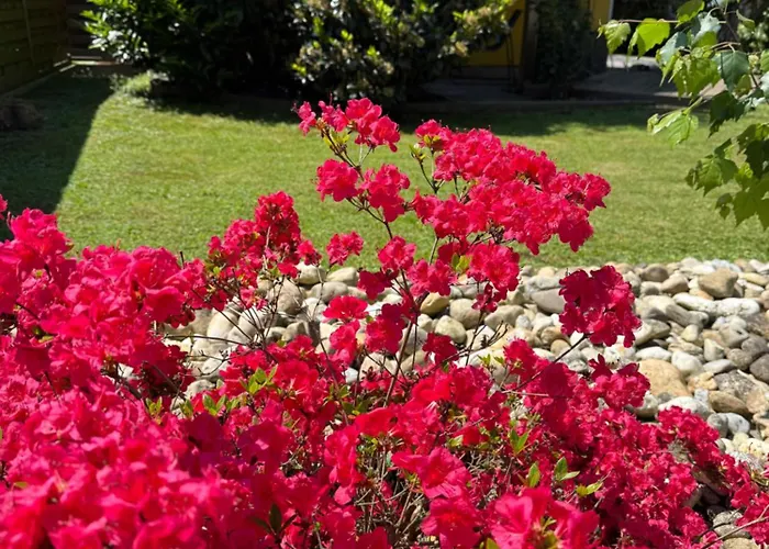 Wellness Soba Skriti Raj בית הארחה בנובצי