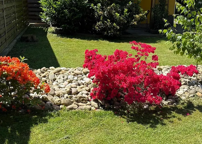 בית הארחה Wellness Soba Skriti Raj